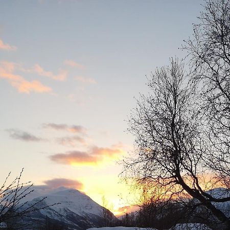 Best No1 Manndalen Exteriör bild