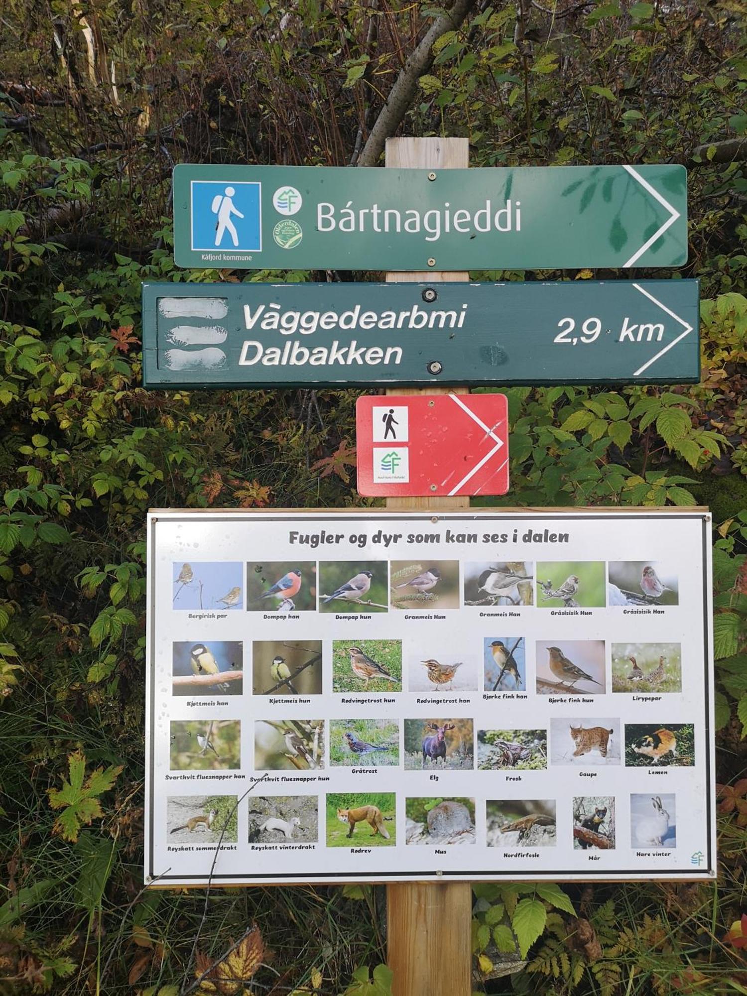 Best No1 Manndalen Exteriör bild