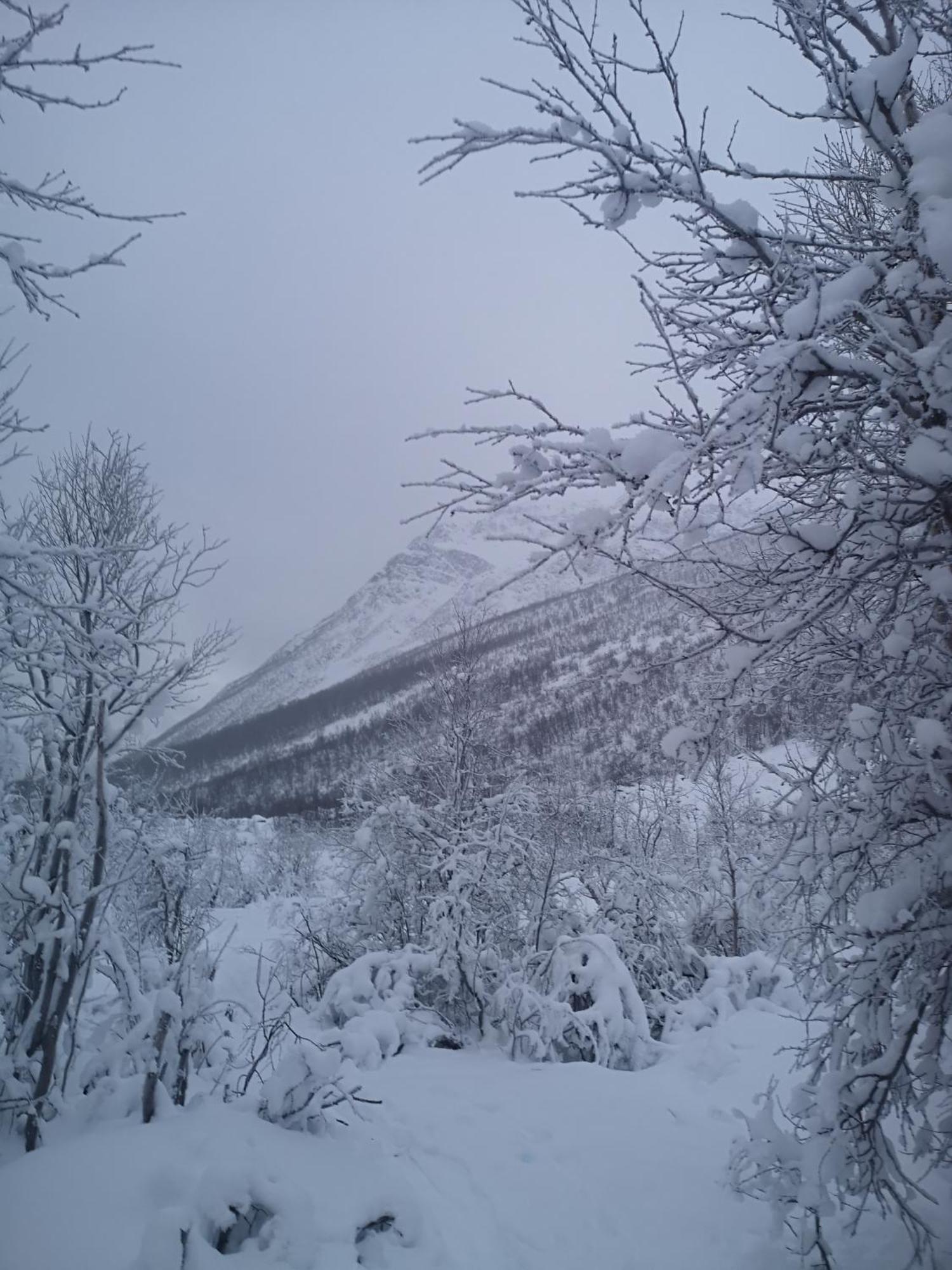 Best No1 Manndalen Exteriör bild